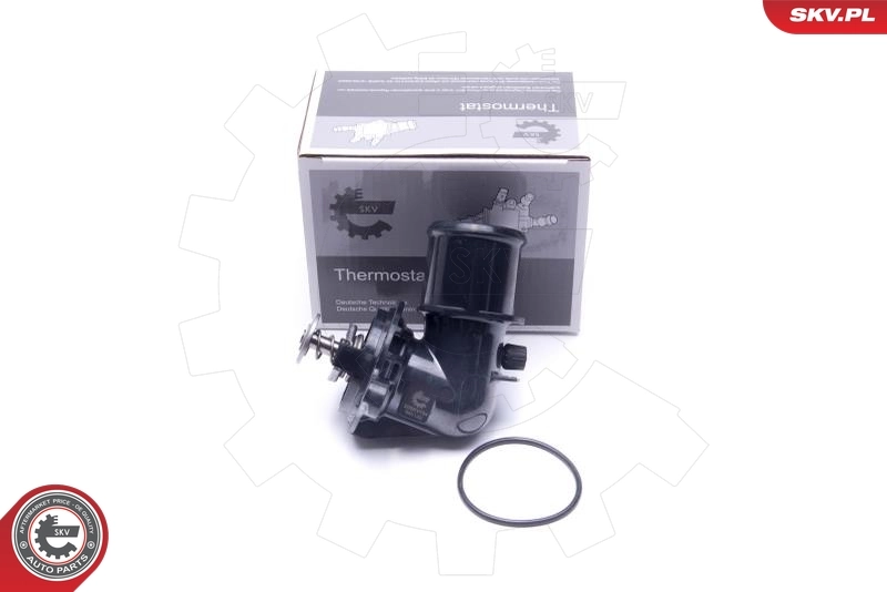 Thermostat, coolant